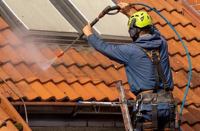 Démoussage et hydrofuge de toiture à Lussac